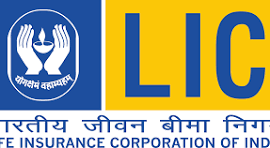 Company Logo 24